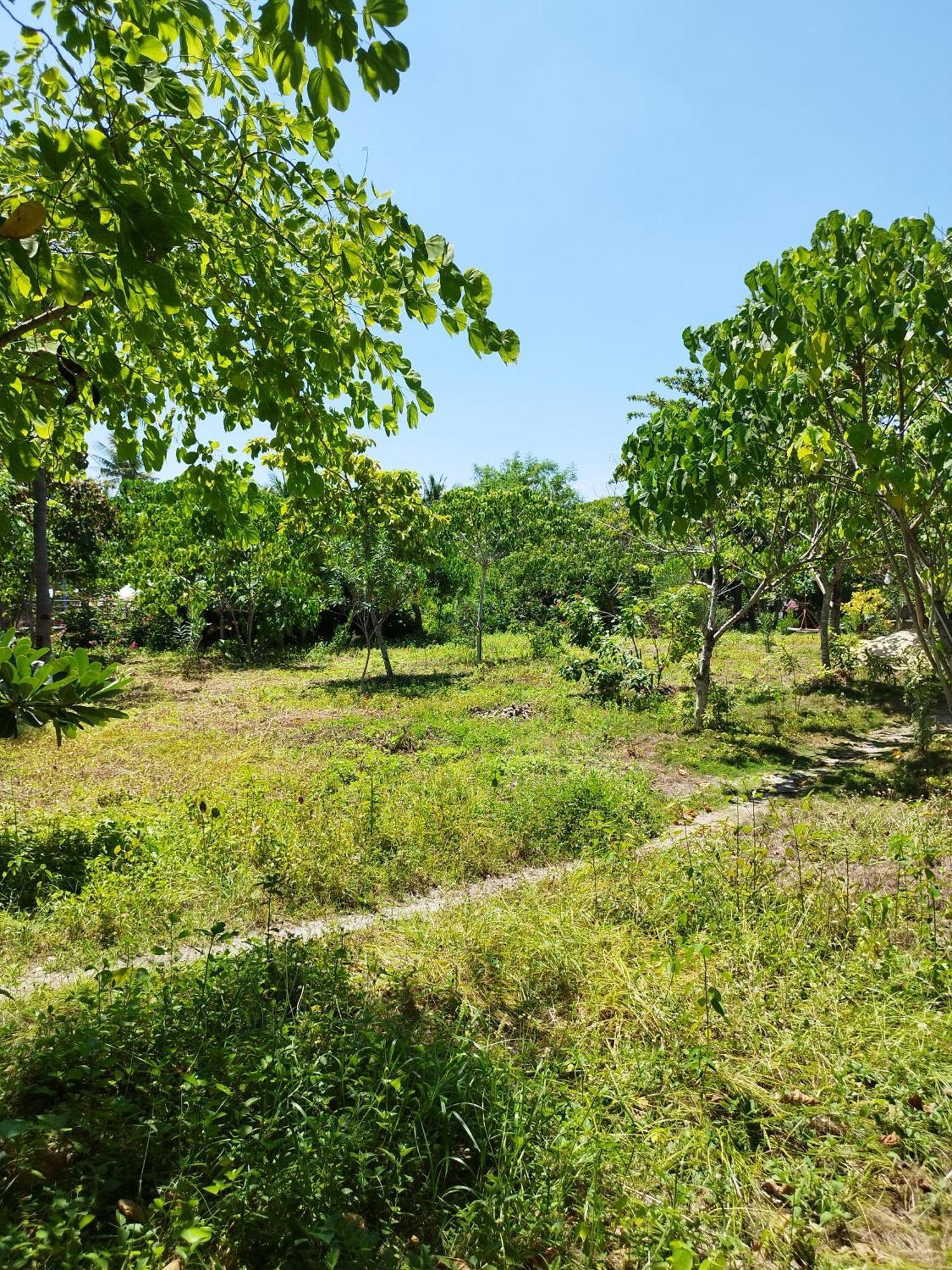 Celtis Resort Pulau Malapascua Bagian luar foto