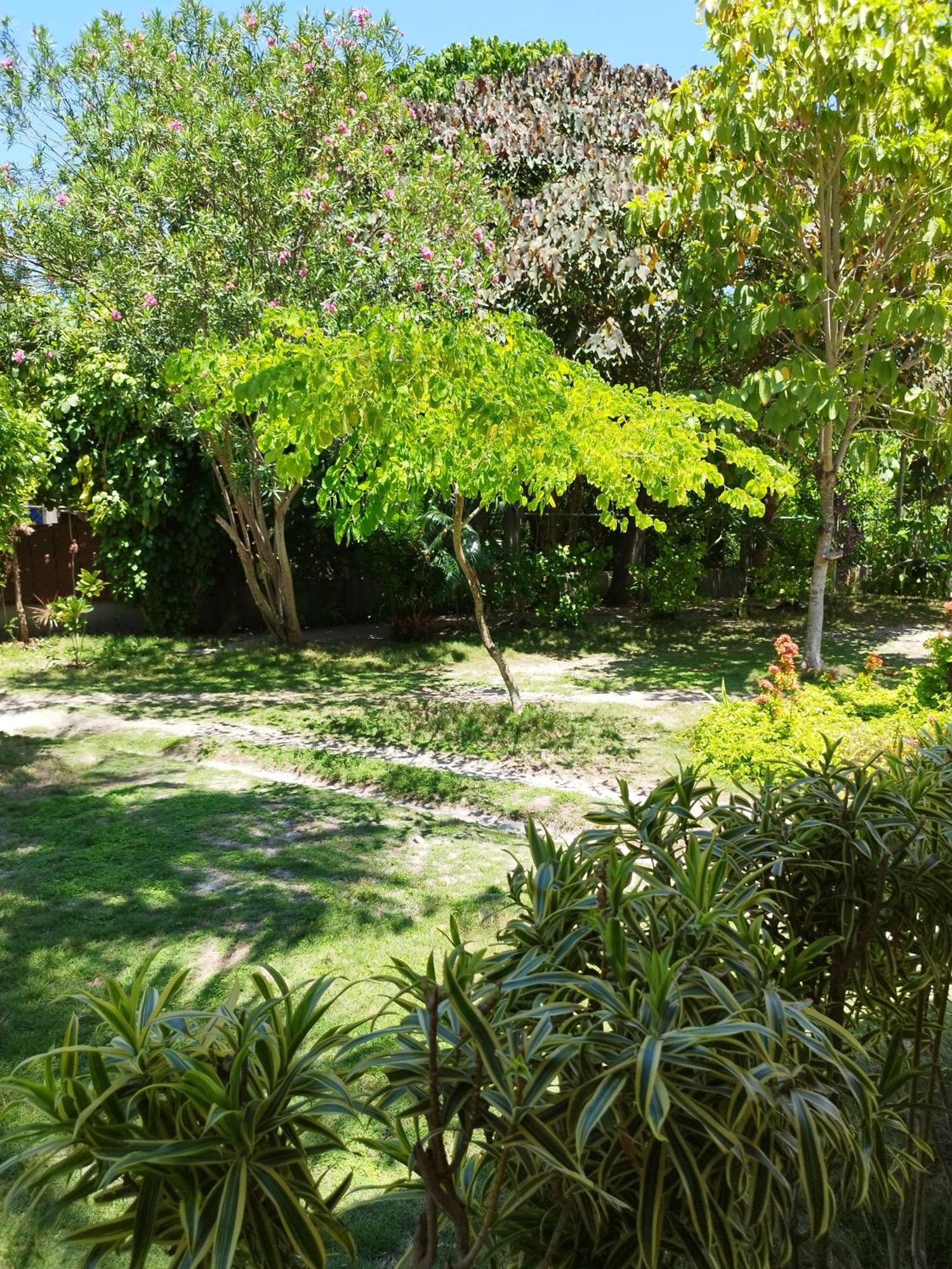 Celtis Resort Pulau Malapascua Bagian luar foto