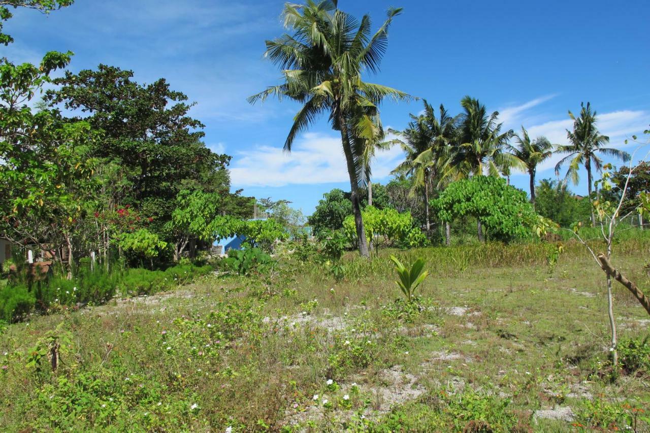 Celtis Resort Pulau Malapascua Bagian luar foto