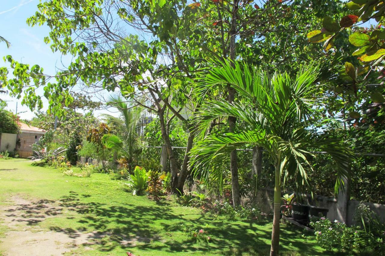 Celtis Resort Pulau Malapascua Bagian luar foto